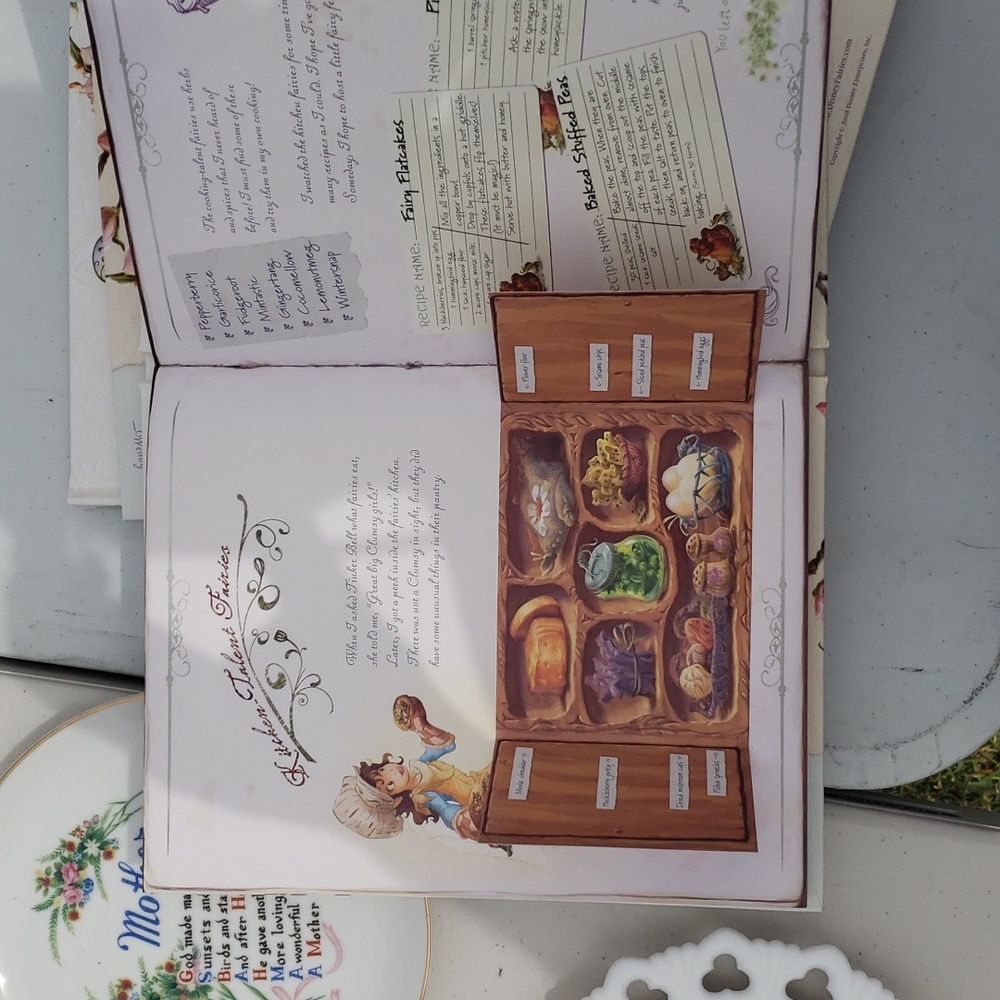 Disney "The Hidden World of Fairies" book - Picture 7 of 16